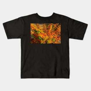 Orange red yellow green Berberis leaves background Kids T-Shirt